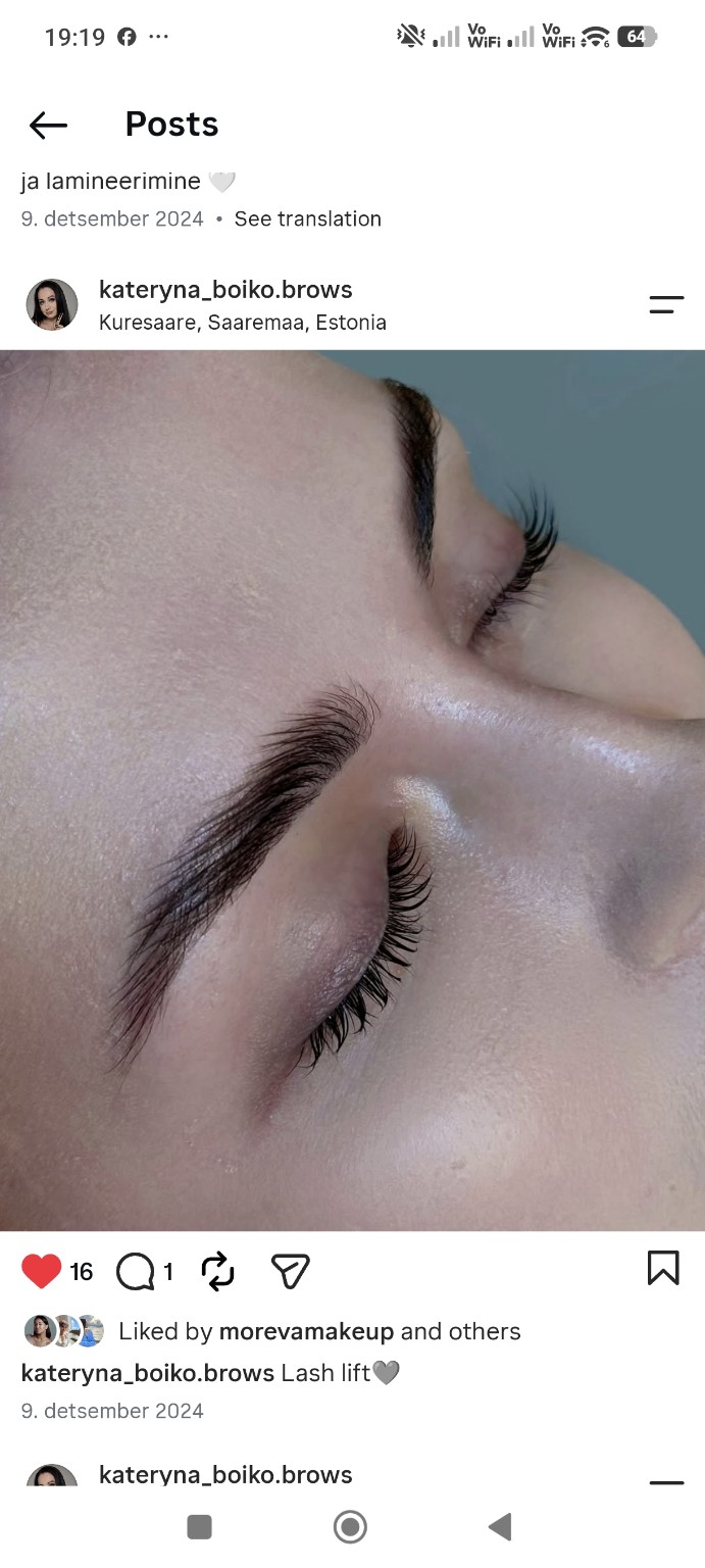 Brow and lash lamination — Kateryna's work