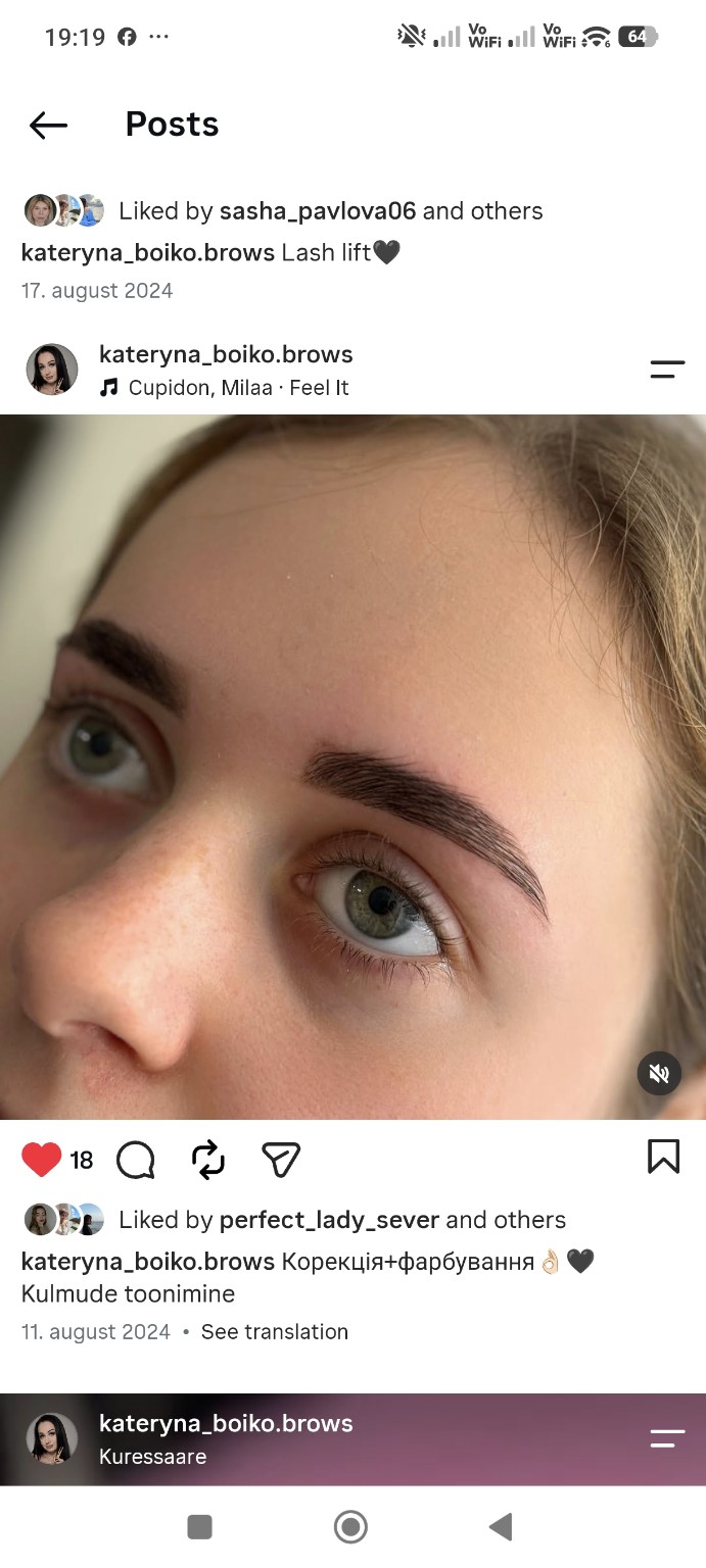 Brow shaping and tinting — Kateryna's work