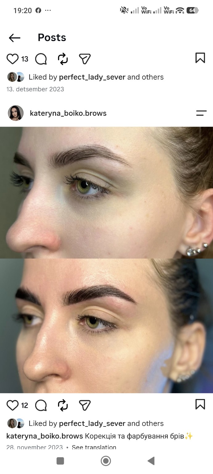 Brow shaping and tinting: before and after — Kateryna's work
